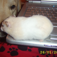 Photo #63835 de Molly