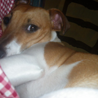 Photo #64033 de Chupa