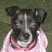 Photo #64051 de Angel