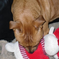 Photo #64063 de Leo