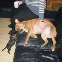 Photo #64069 de Leo