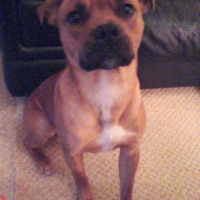 Photo #64075 de Leo