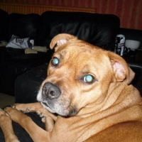 Photo #64081 de Leo