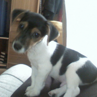 Photo #64171 de Crunch 