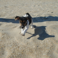 Photo #64201 de Crunch 