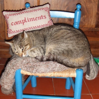 Photo #64351 de Shalom