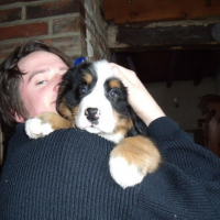 Photo #64453 de Taz