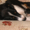 Bella_and_Trinity__6_