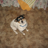my_pics_010