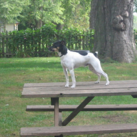 Photo #65023 de Eddie