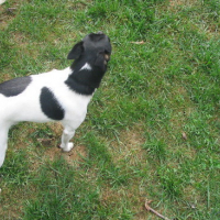 Photo #65029 de Eddie