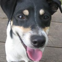 Photo #65059 de Lucky