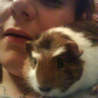 Photo #65587 de Cuba