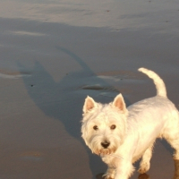 Photo #65707 de Meg