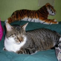 Rawiss_26_27-02-07
