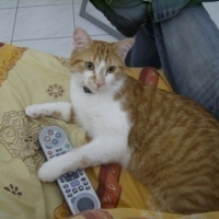 Photo #66367 de Fripouille