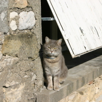 Photo #66517 de Bubulle