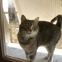 Photo #66523 de Bubulle