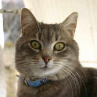 Photo #66529 de Bubulle
