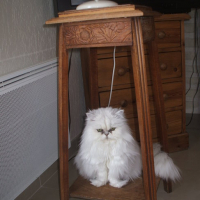 Photo #67159 de Natacha