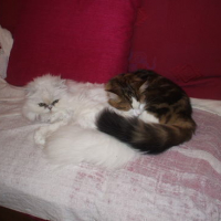 Photo #67165 de Natacha