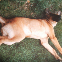 Photo #67255 de Prince