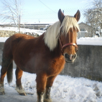 IMGP4320