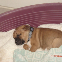 Photo #67495 de Daymone