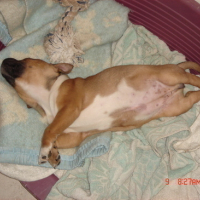 Photo #67501 de Daymone