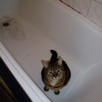 Photo #68491 de Minette