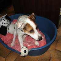 Photo #68593 de Billy