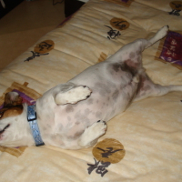 Photo #68599 de Billy