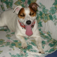 Photo #68611 de Billy