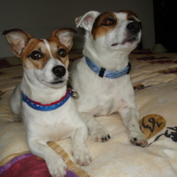 Photo #68617 de Billy
