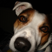 Photo #68623 de Billy