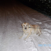 Photo #68707 de Jenny
