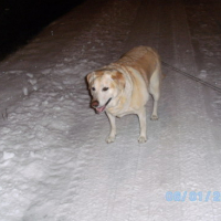 Photo #68713 de Jenny