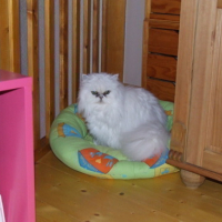 Photo #69493 de Natacha