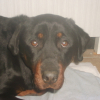 d_c_2008_005
