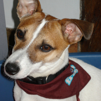 Photo #69619 de Tifa