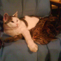 Photo #70717 de Contre-ut