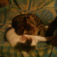 Photo #70723 de Contre-ut