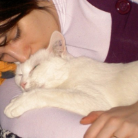 Photo #71515 de Casper