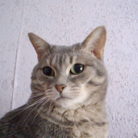 Photo #71533 de Vicky