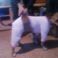 ma cherie en pyjama mdr
