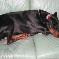 Photo_1047