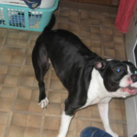 Photo #72697 de Athena