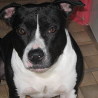 Photo #72703 de Athena