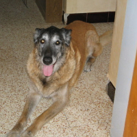 Photo #72871 de Pharaon du malibu
