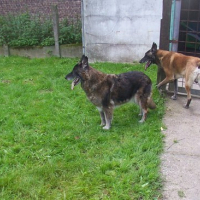 Photo #72913 de Zenda